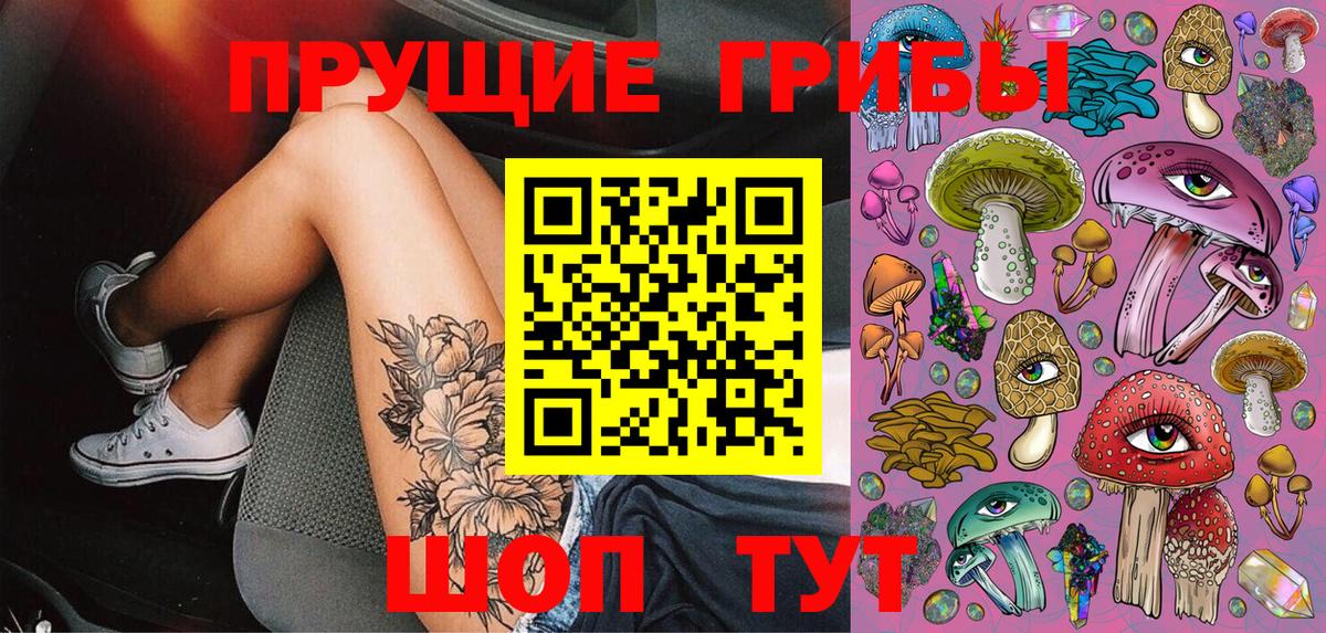 Усть-Илимск  Галлюциногенные грибы Psilocybe  Вход с VPN 